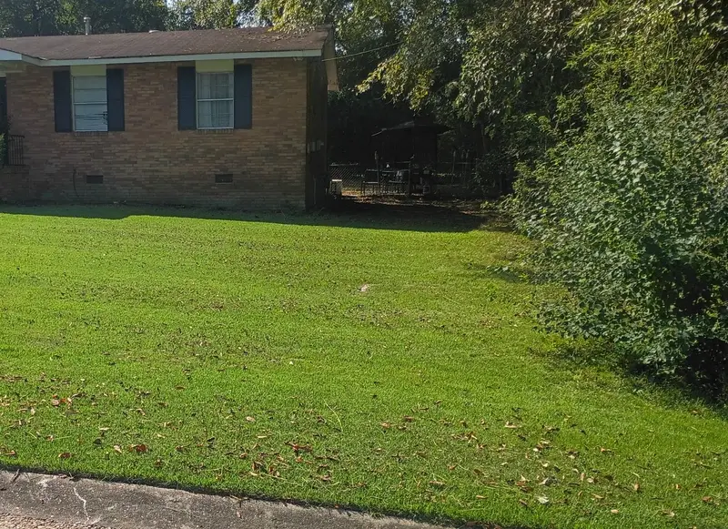 Close look at an even-cut lawn in front of a brick home